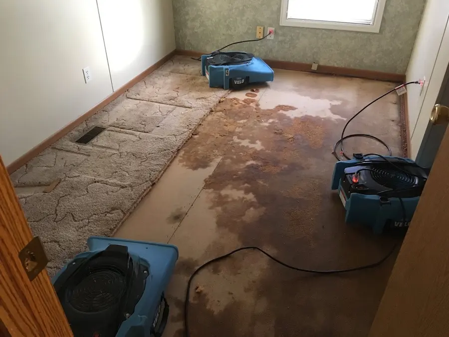 Carpet pulled back from a wet subfloor with air movers running in a Pueblo, CO bedroom